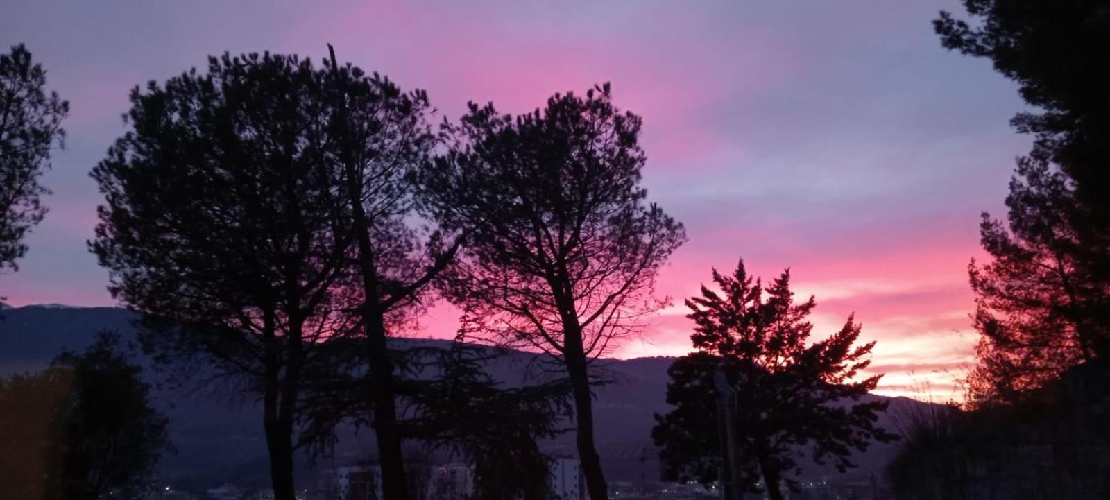 Parco Dei Gelsomini Bed & Breakfast Ascoli Piceno Exterior photo