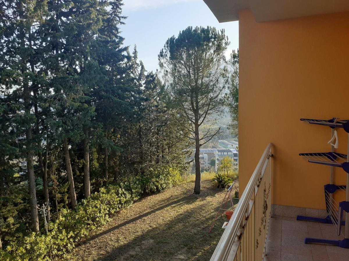 Parco Dei Gelsomini Bed & Breakfast Ascoli Piceno Exterior photo
